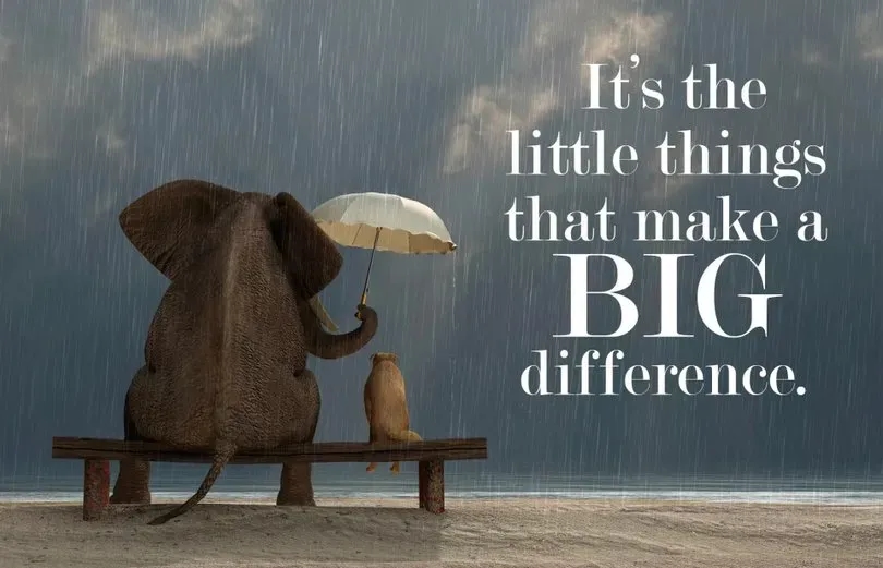 Little Things, Big Difference!