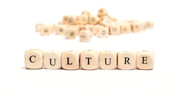 What Kind of Company Culture are you Building?